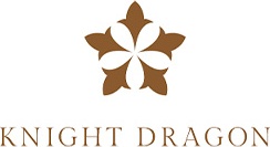 Knight Dragon